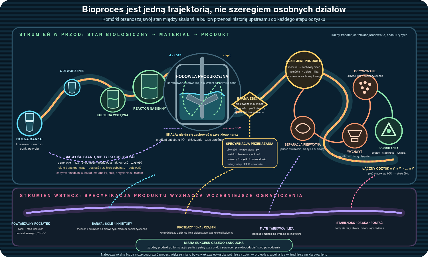 Bioproces jako ciągła trajektoria stanu biologicznego i materiału. Fiolka banku, kultura wstępna i reaktor nasienny zwiększają skalę, ale muszą przekazywać tę samą tożsamość procesu: liczbę generacji, fazę, żywotność, morfologię, aktywność oraz skład przenoszonego medium. W reaktorze produkcyjnym nie da się równocześnie zachować wszystkich kryteriów podobieństwa — transferu tlenu, czasu mieszania, odprowadzania ciepła, ścinania i mocy na objętość — dlatego scale-up musi wynikać z biologicznego ograniczenia. Brama zbioru łączy aktywność produktu, profil zanieczyszczeń i gotowość odzysku, a specyfikacja przekazania opisuje objętość, temperaturę, pH, biomasę, lepkość, proteazy oraz maksymalny czas hold. Lokalizacja produktu rozstrzyga, który strumień zachować i czy potrzebna jest liza. Dolny strumień zwrotny pokazuje, jak filtracja, lepkość, proteoliza, sole, formulacja i stabilność cofają wymagania do momentu zbioru, medium, gospodarza oraz stanu inokulum. Sukcesem jest zgodny produkt po formulacji na partię i pełny cykl, nie najlepszy lokalny wynik pojedynczego etapu.