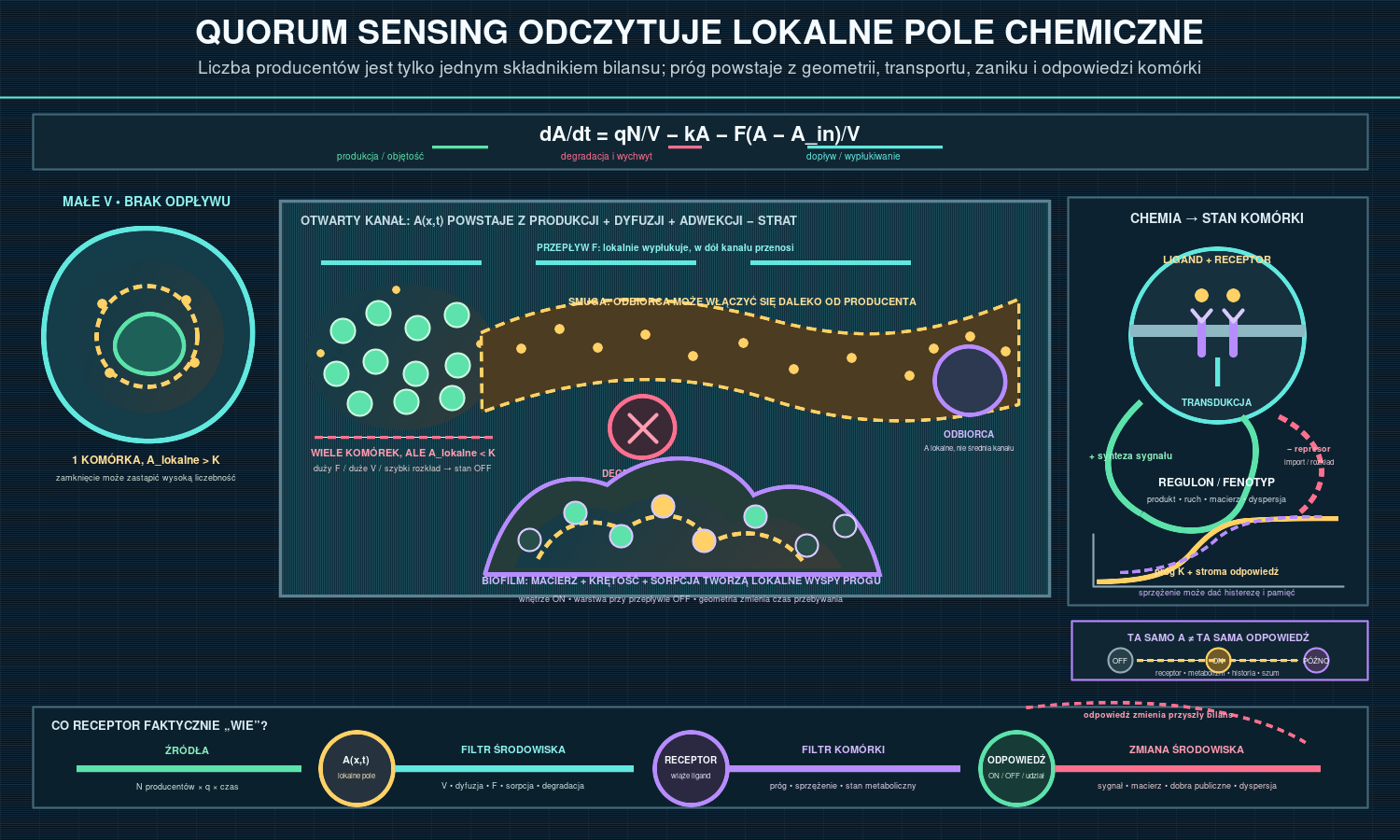 Quorum sensing i komunikacja chemiczna